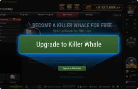 killer whale for a hundred days step 3