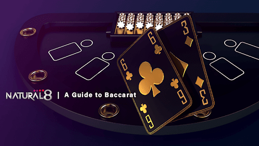 Làm thế nào để chơi Baccarat?